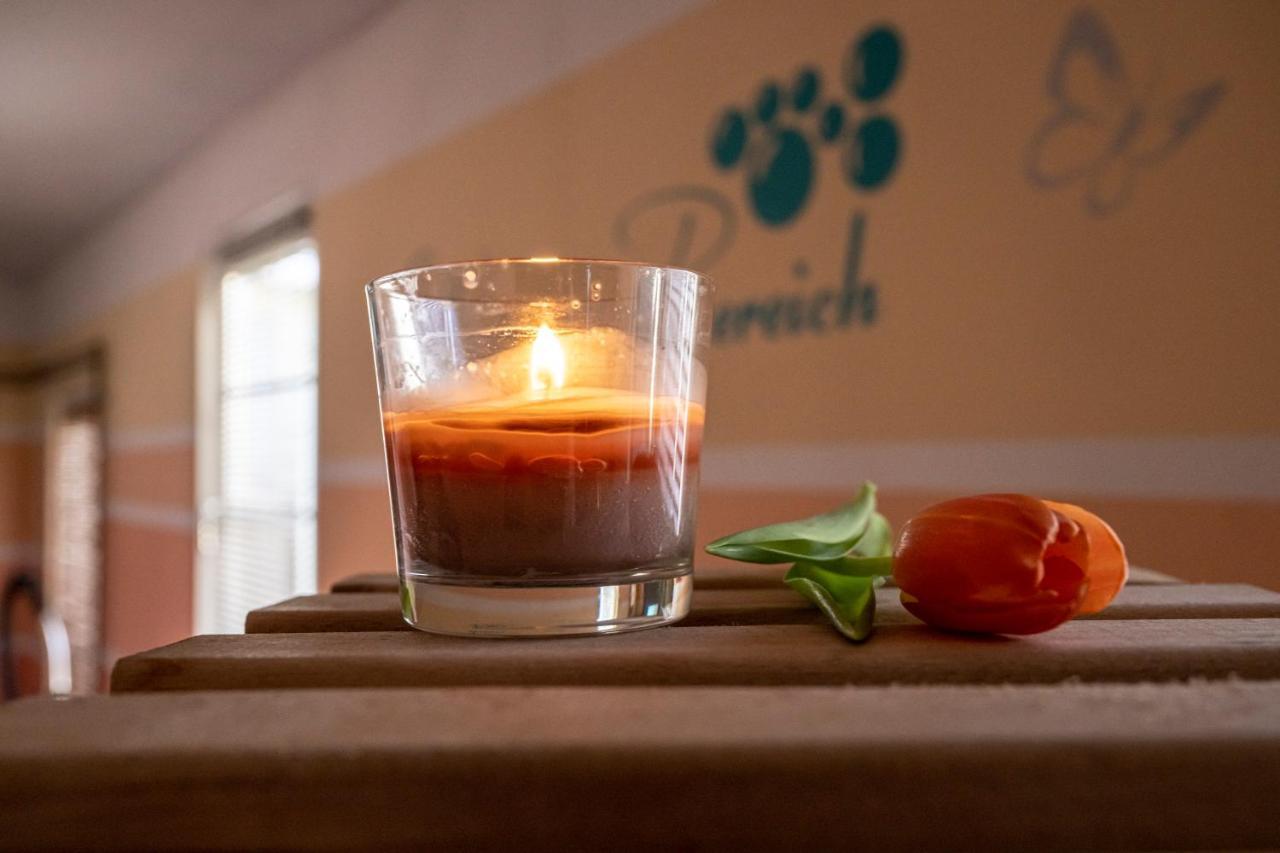 Sporthotel Glueck Auf Moenchenfrei Brand-Erbisdorf Екстериор снимка